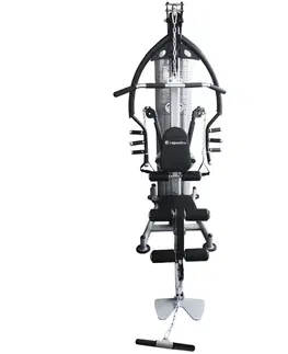 inSPORTline Profigym C400