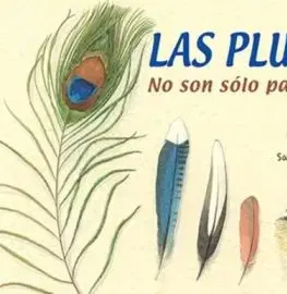 Las plumas - Melissa Stewart, Sarah S. Brannen