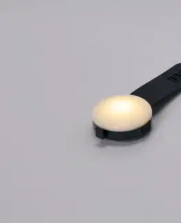 Svietiaci prívesok na psí obojok