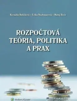 Rozpočtová teória, politika a prax - Kornélia Beličková, Erika Neubauerová, Matej Boór