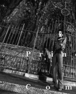 Prince - Come LP - Prince