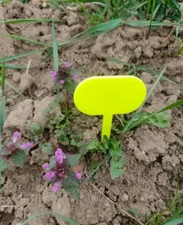 Kinekus Tabuľka zapichovacia do záhrady 25x7x0,3cm plasová,  balenie 10ks