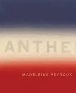 Peyroux Madeleine - Anthem 2LP - Madeleine Peyroux