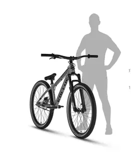 Kellys WHIP 50 DX 26" - model 2025 Dusty Purple - M (13", 155-175 cm)
