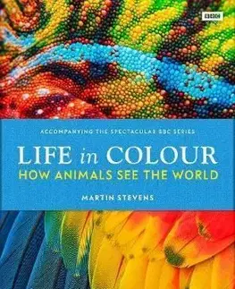 Life in Colour - Martin Stevens