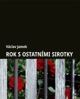 Rok s ostatními sirotky - Václav Jamek