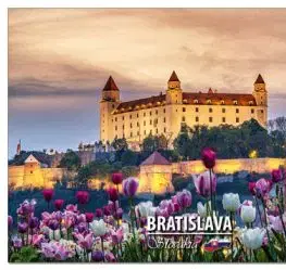 (A6) Pohľadnica A6 Bratislava k16 (tulipány)