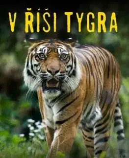 V říši tygra - Jaroslav Mareš