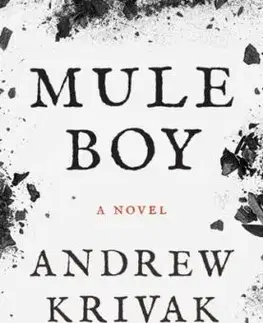Mule Boy - Andrew Krivak