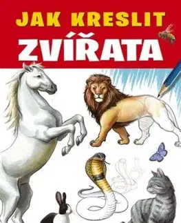 Jak kreslit zvířata