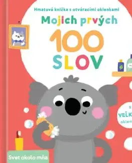 Mojich prvých 100 slov: Svet okolo mňa - YoYo Books