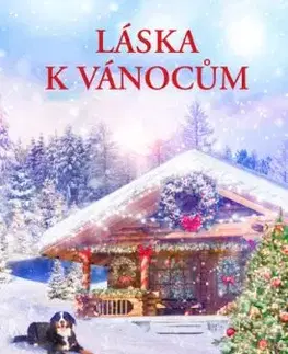 Láska k Vánocům - Karen Schaler