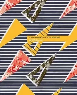 Americanah - Chimamanda Ngozi Adichie