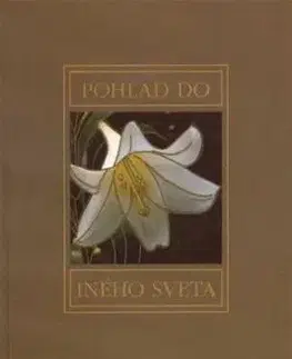 Pohľad do iného sveta - Herbert Vollmann