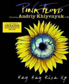 Pink Floyd - Hey Hey Rise Up (Feat. Andriy Khlyvnyuk Of Boombox) Vinyl single - Pink Floyd