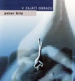 V zajatí obrazu - Peter Bílý