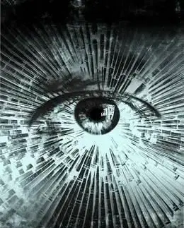 Shattered Minds - Laura Lam