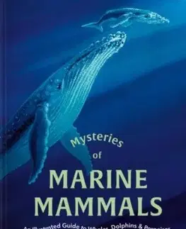 Mysteries of Marine Mammals - Amandine Delaunay