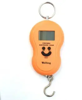 Kinekus Váha závesná mincier, nosnosť 50kg, DIGI