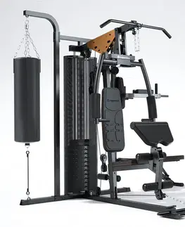 inSPORTline Profigym C60