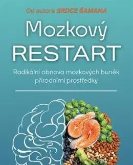 Mozkový restart - Alberto Villoldo