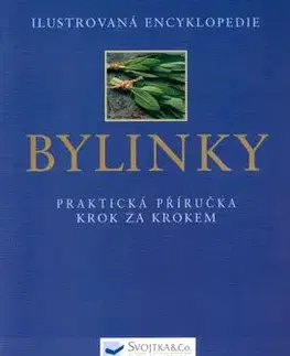 Bylinky - Katherine Richnondová, Clevely Andi