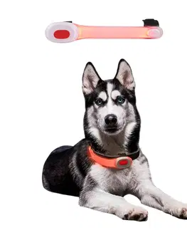 inSPORTline Petsaber Mini