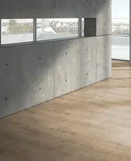 PARADOR Basic 400 Dub brúsený jemne matná štruktúra 1426542