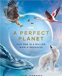 Perfect Planet - Huw Cordey