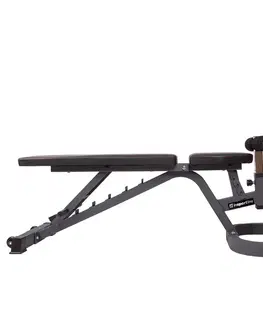 inSPORTline Profi Sit up bench