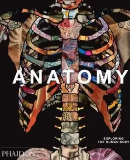 Anatomy - Exploring the Human Body