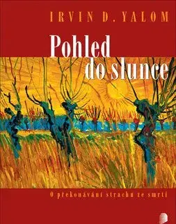 Pohled do slunce - Irvin D. Yalom