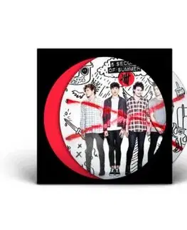 5 Seconds Of Summer - 5 Seconds Of Summer: 10th Anniversary (Picture Disc) LP - 5 Seconds Of Summer