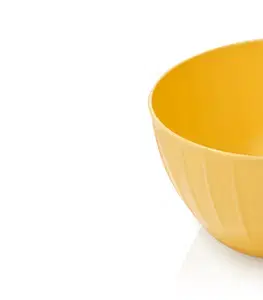Tescoma misa plastová DELÍCIA ø 22 cm, 2.5 l