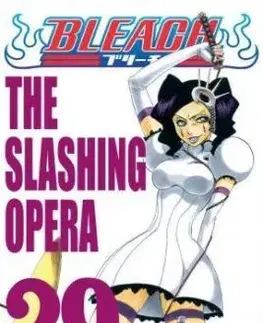 Bleach 29: The Slashing Opera - Kubo Tite, Kubo Tite