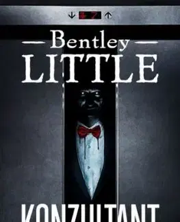 Konzultant - Bentley Little