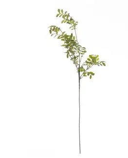 Dekoria Vetvička Green Twig 100cm, 20 x 5 x 100 cm