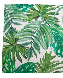 Obraz na plátne Green Leaves, 40 x 40 cm
