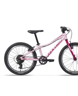 Galaxy Cetis 20" - model 2025 tyrkysová - 10" (113-135 cm)