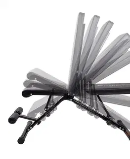 inSPORTline AB20