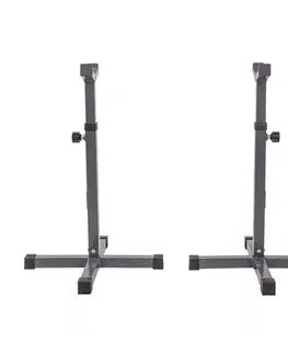 inSPORTline PW10