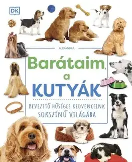 Barátaim, a kutyák
