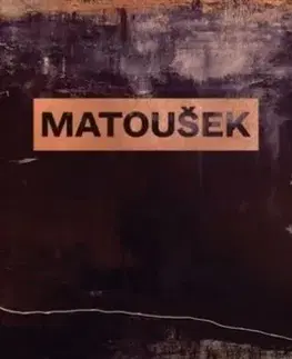 Martin Matoušek. Průhledy. Glimpses - Karel Srp