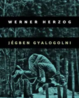 Jégben gyalogolni - Werner Herzog