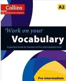 Work on your Vocabulary - Pre-intermediate A2