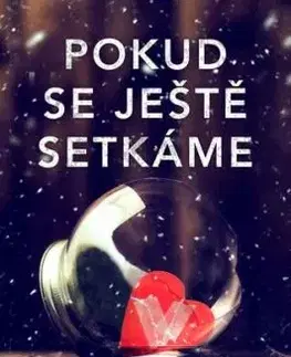 Pokud se ještě setkáme - L. J. Shen