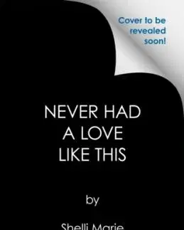 Never Had a Love like This - Shelli Marie
