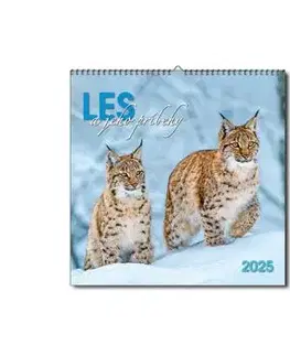 Nástenný kalendár Les a jeho príbehy 2025
