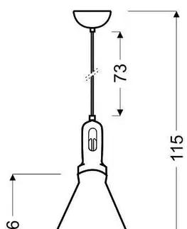 Závesná lampa Robinson 26 1X60W E27 čierno-čierna