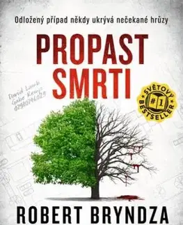 Propast smrti (Kate Marshallová 3) - Robert Bryndza